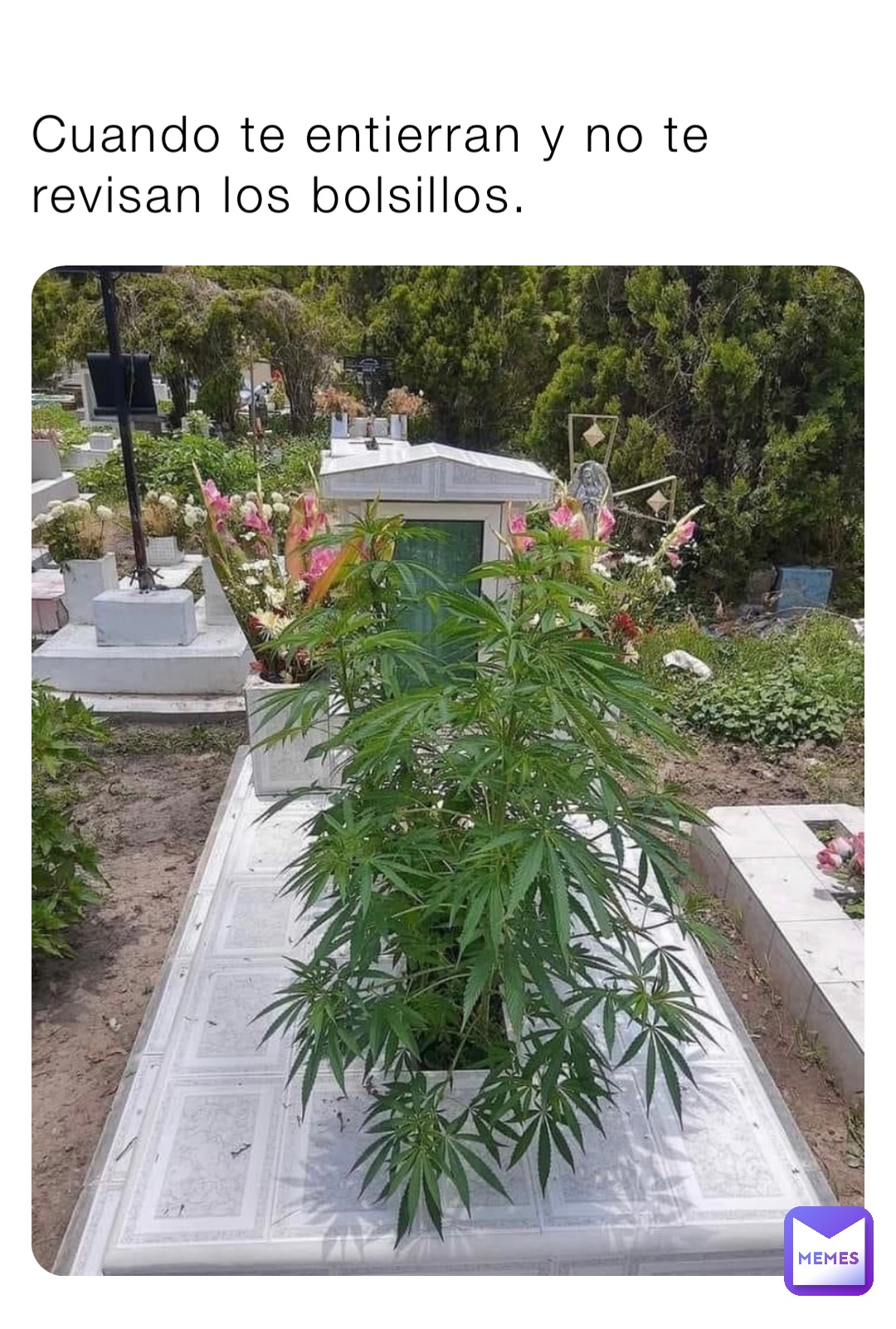 Meme by gomezabigail252