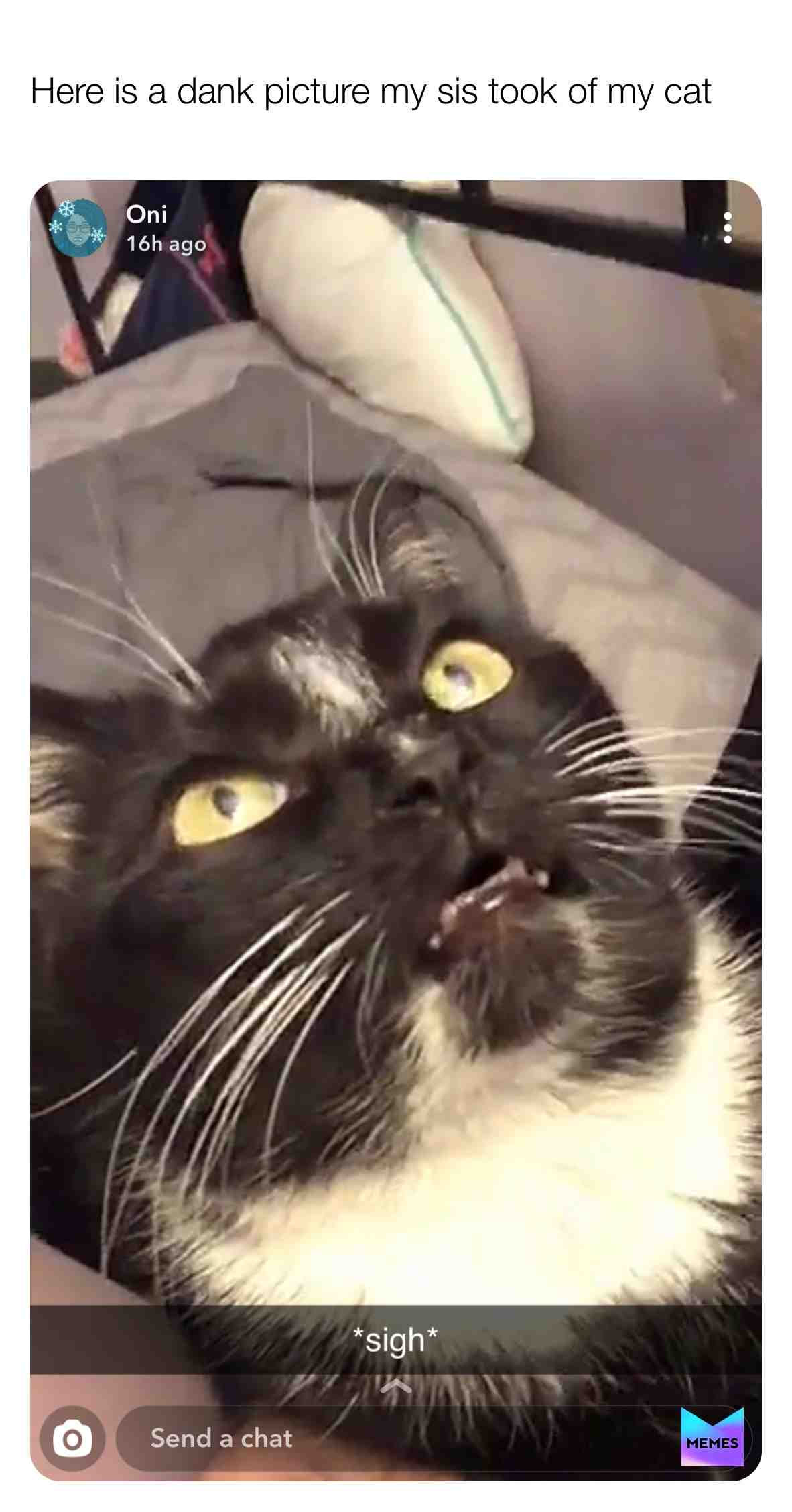 Meme shared by @thedewman