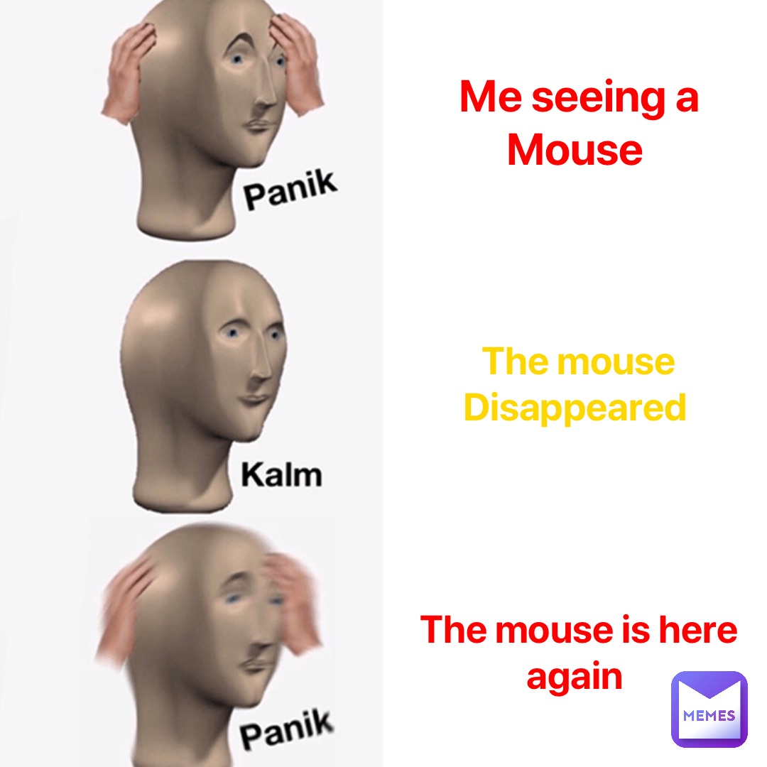 Me seeing a Mouse The mouse Disappeared The mouse is here again