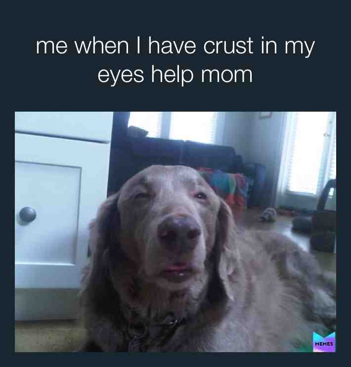 Meme shared by @zoe_22