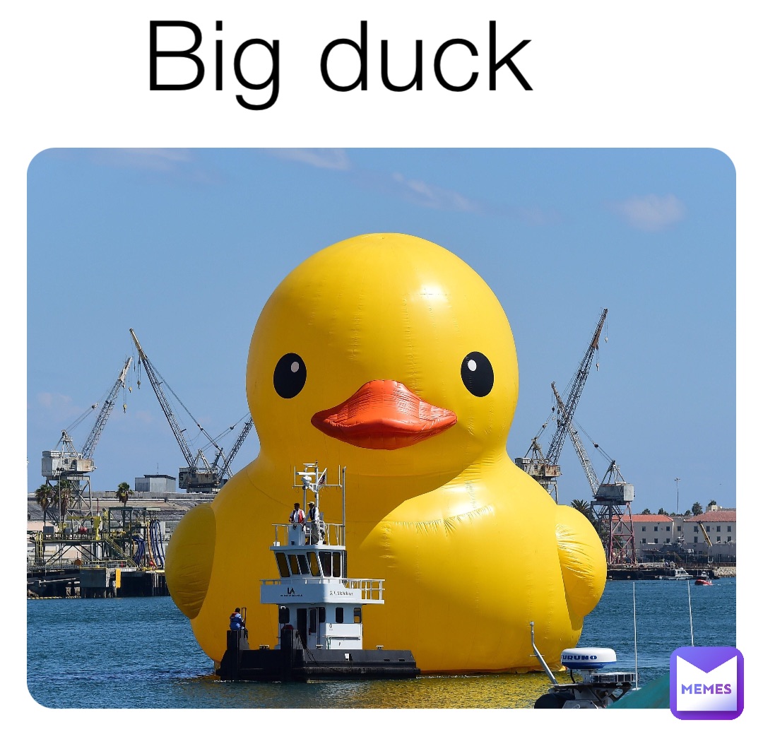 Big duck