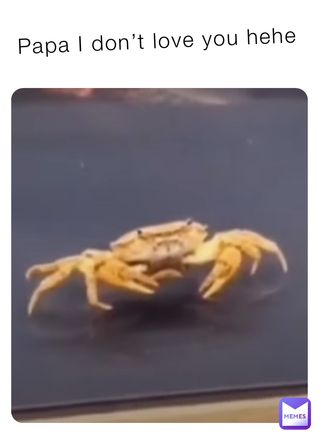 Meme by kyranouellette