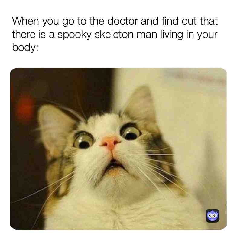Meme shared by @nice_memes_2324
