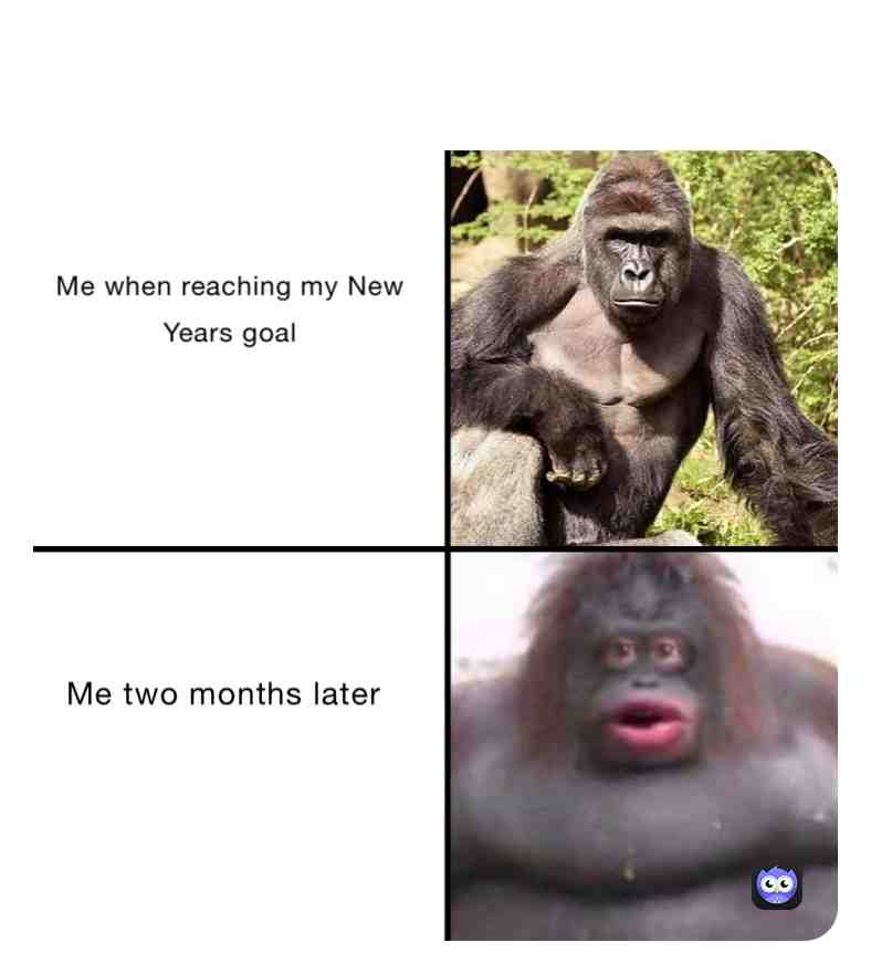 Meme preview