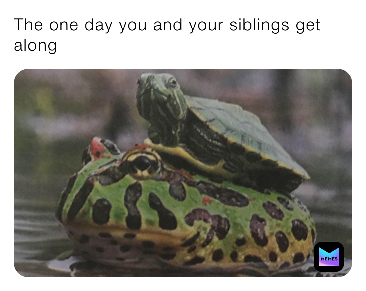 The one day you and your siblings get along