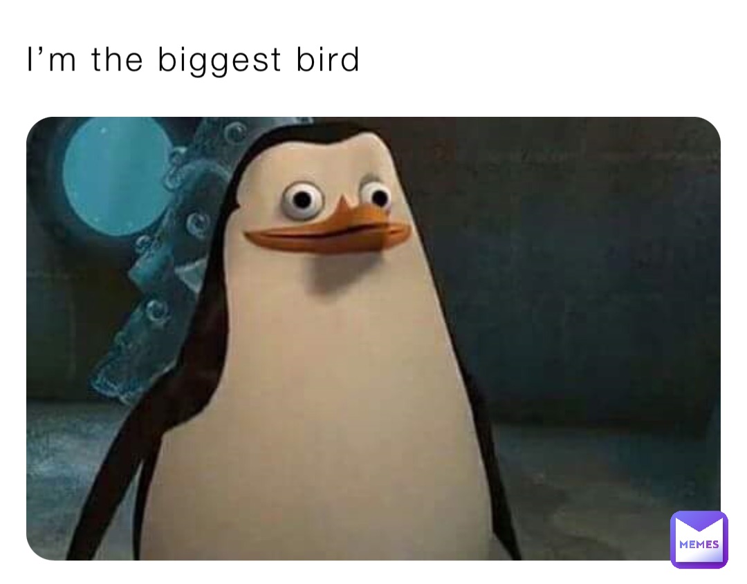 I’m the biggest bird