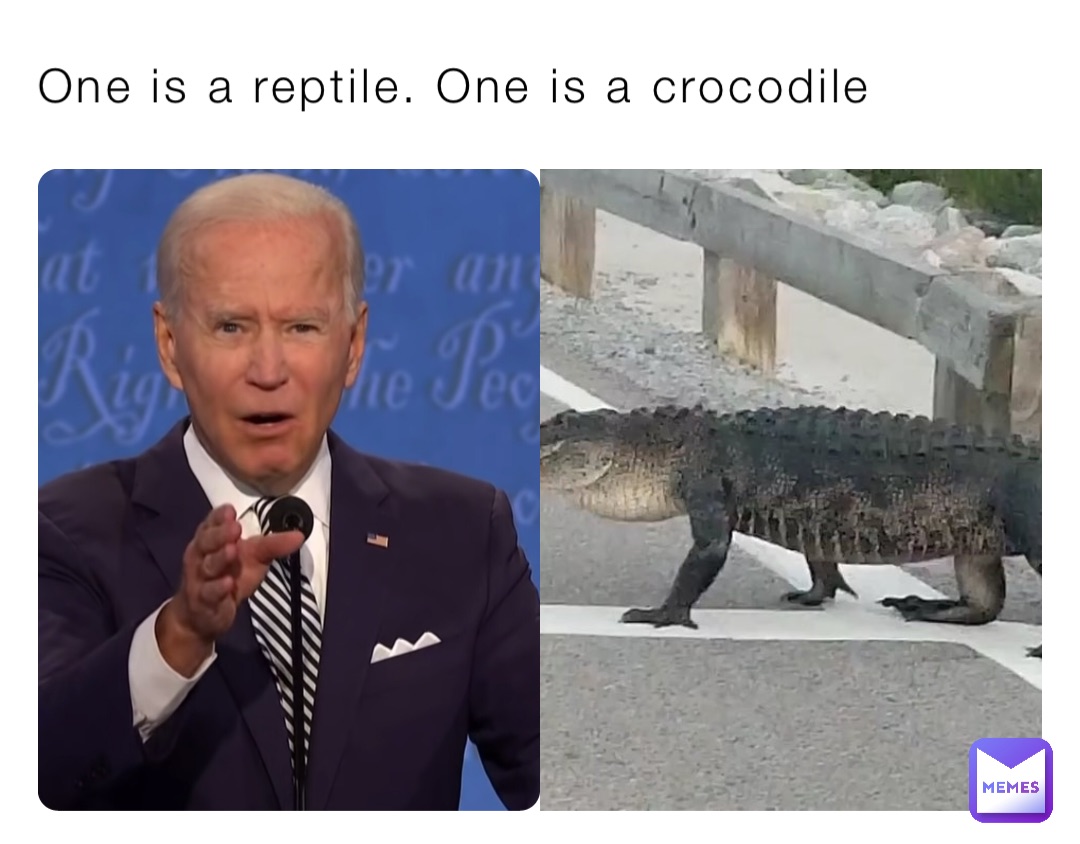 One is a reptile. One is a crocodile