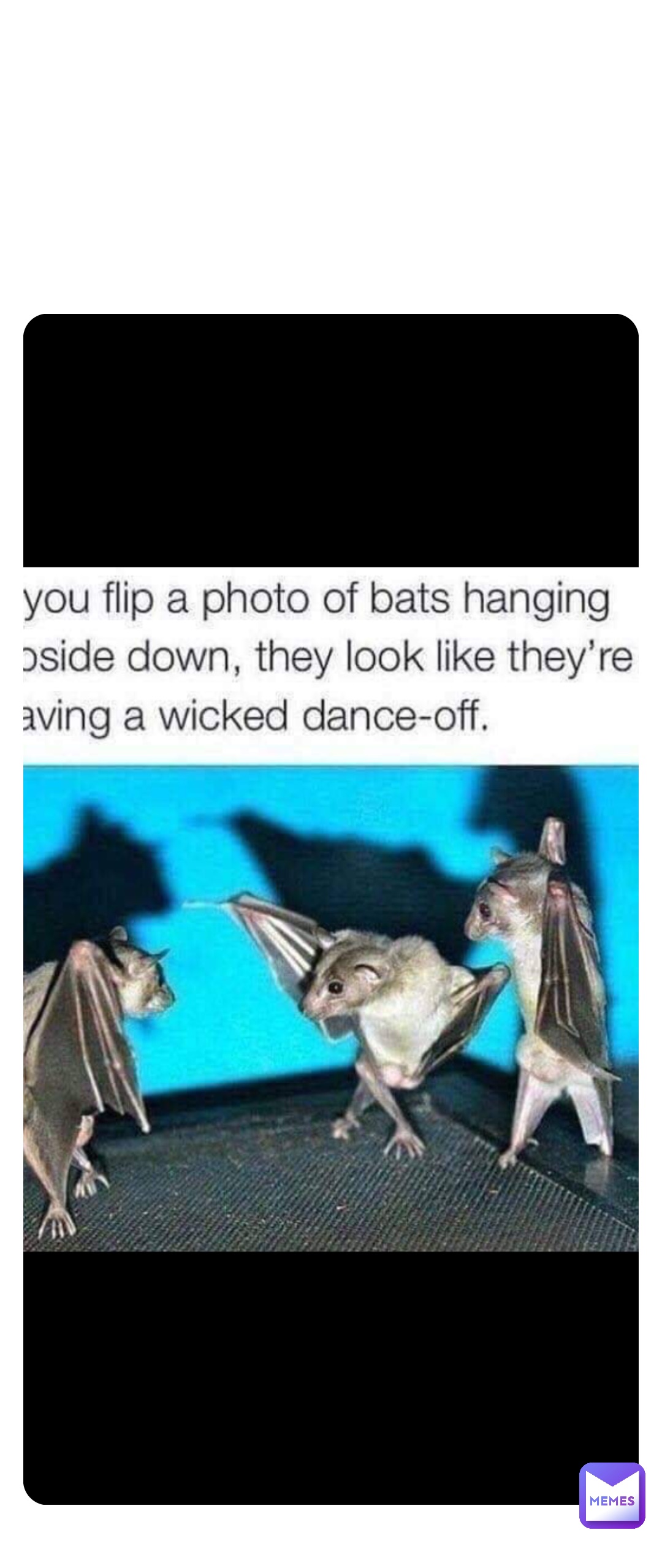 Double tap to edit