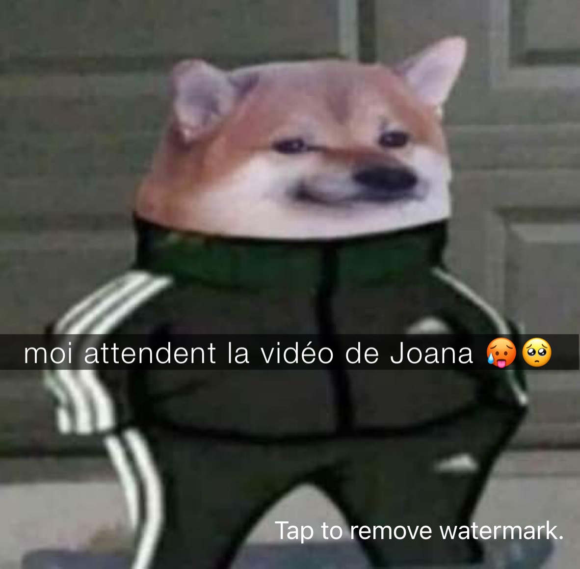 moi attendent la vidéo de Joana 🥵🥺