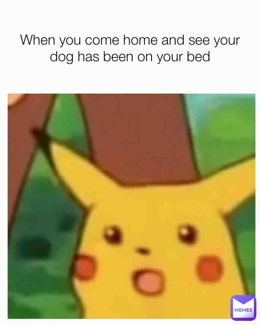 Meme shared by @Kermit_the_ghost