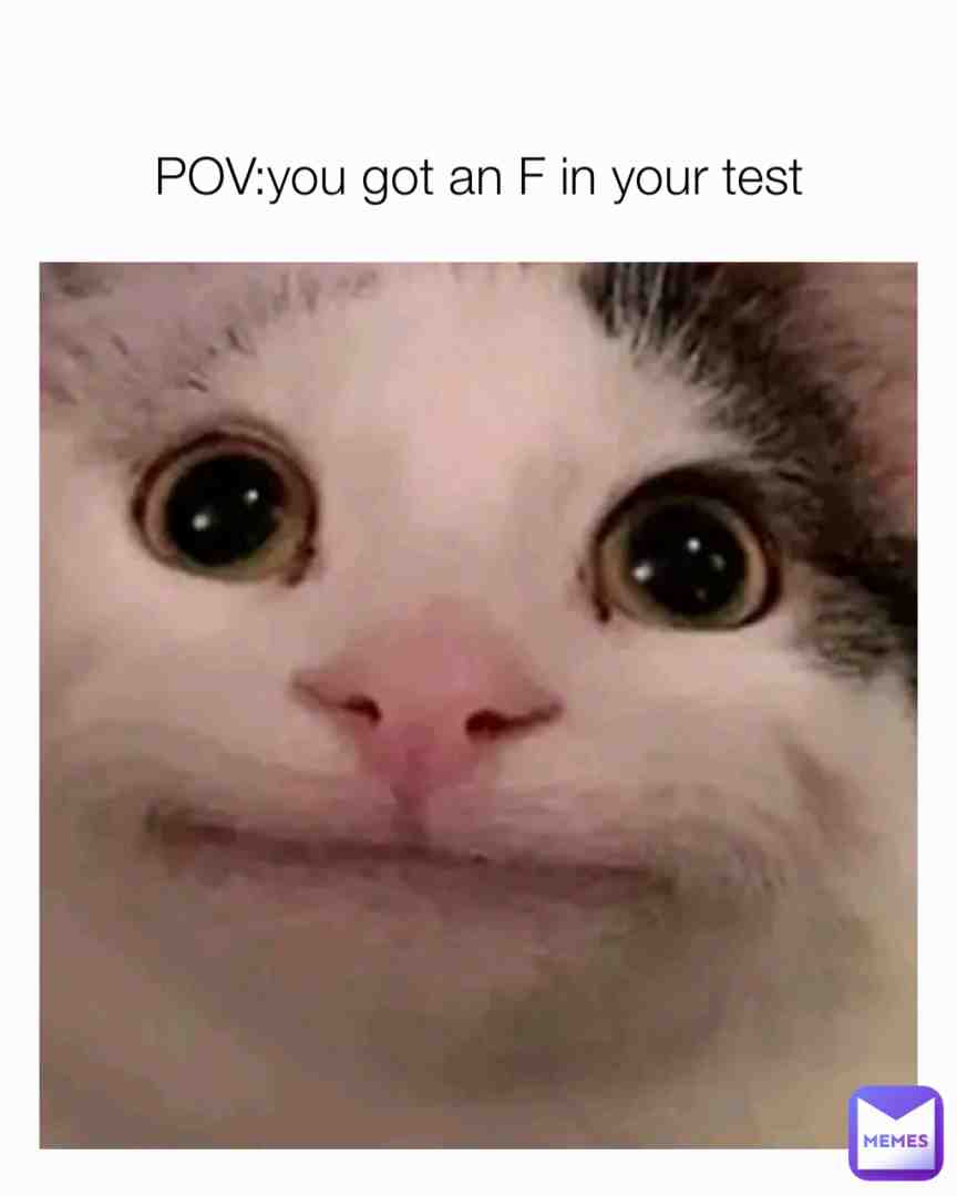 Meme shared by @Kermit_the_ghost