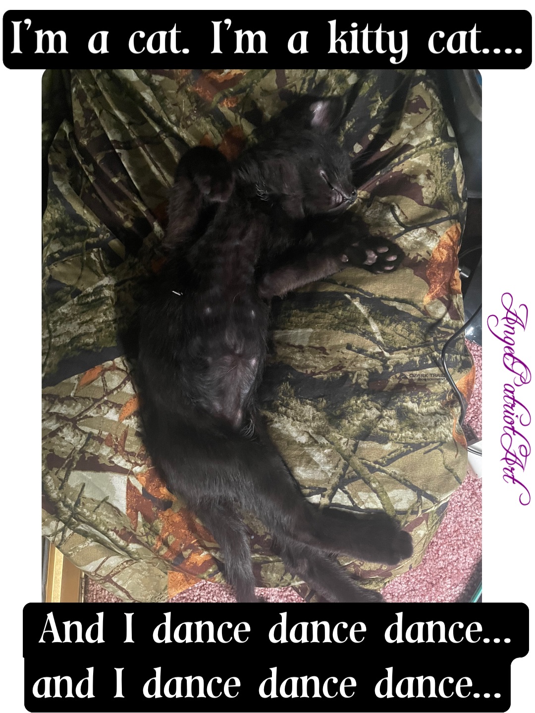 Double tap to edit Double tap to edit I’m a cat. I’m a kitty cat…. And I dance dance dance… 
and I dance dance dance…