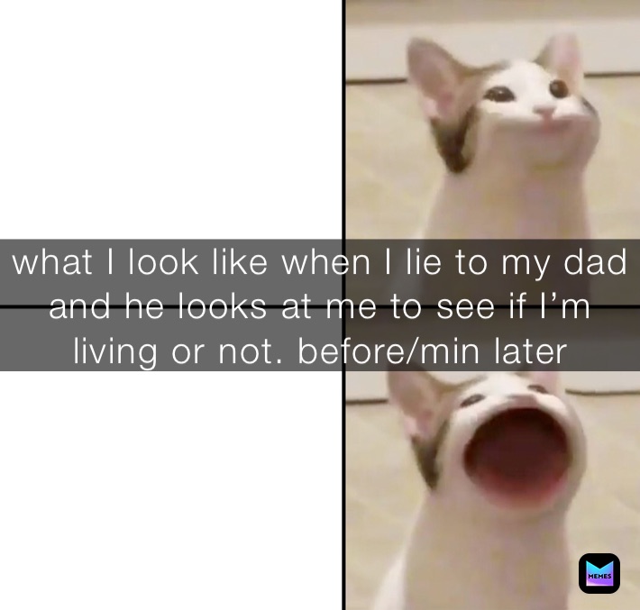 me when I tell a lie and my dad looks at me to see if I’m living or not..... what I look like when I lie to my dad and he looks at me to see if I’m living or not. before/min later