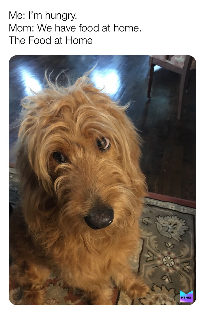 Meme by memes_pizzaria