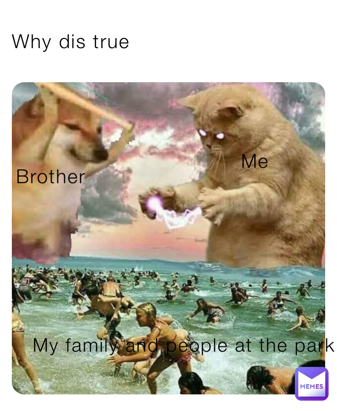 Why dis true Me Brother My family and people at the park