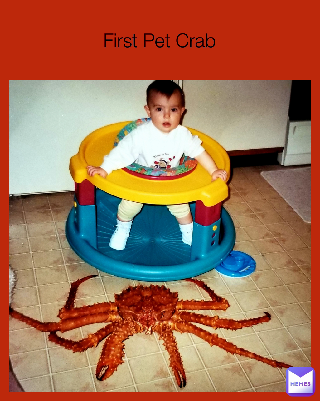 First Pet Crab