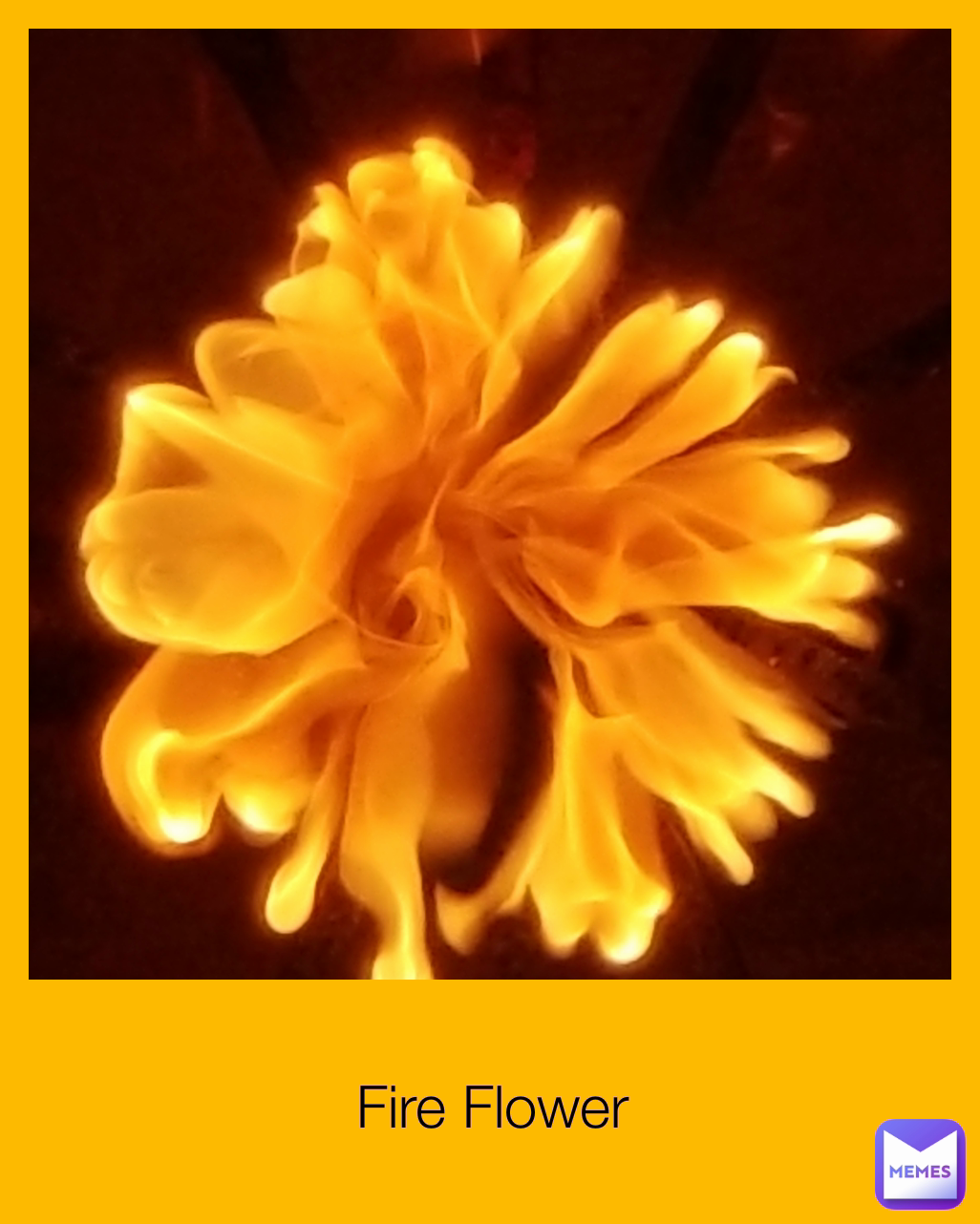 Fire Flower