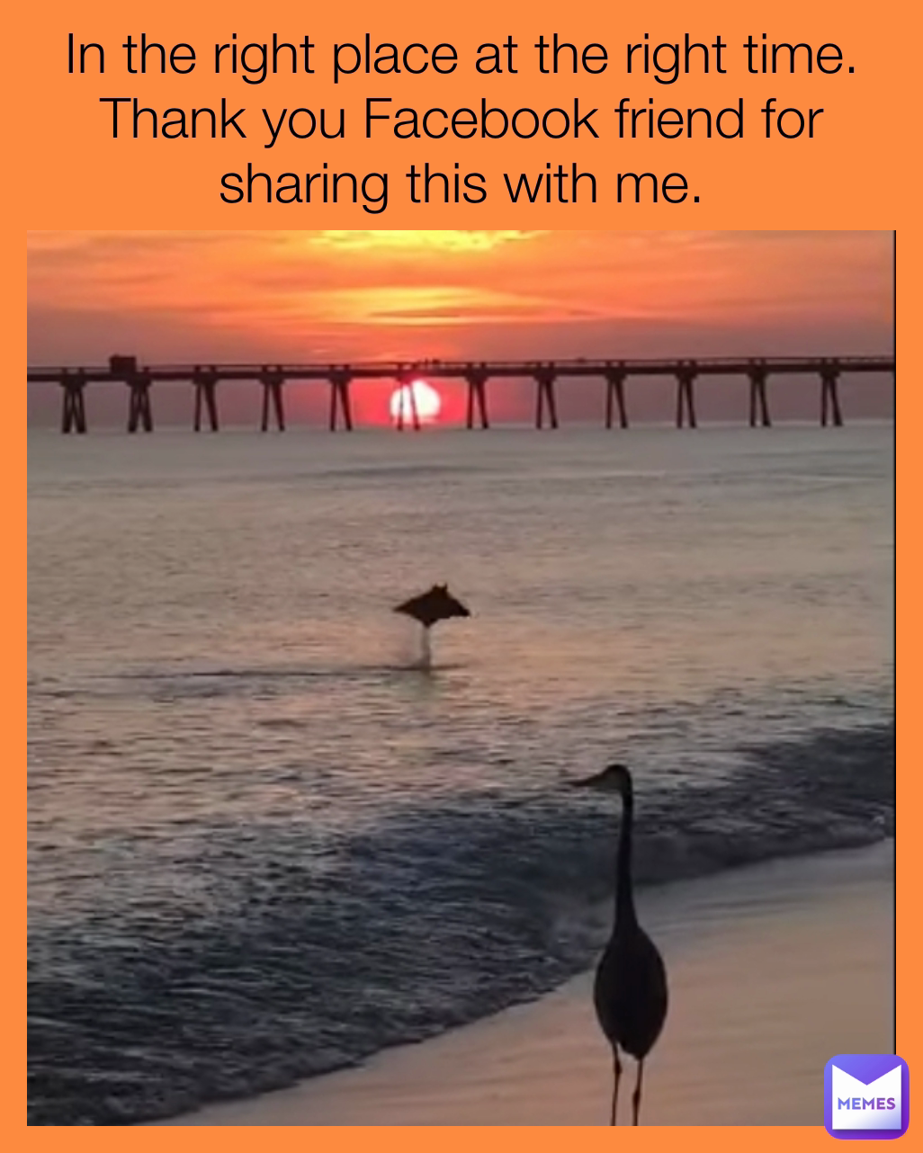 In the right place at the right time.  Thank you Facebook friend for sharing this with me.