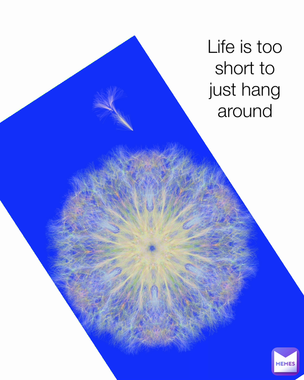Life is too short to just hang around Life is too short to just hang around