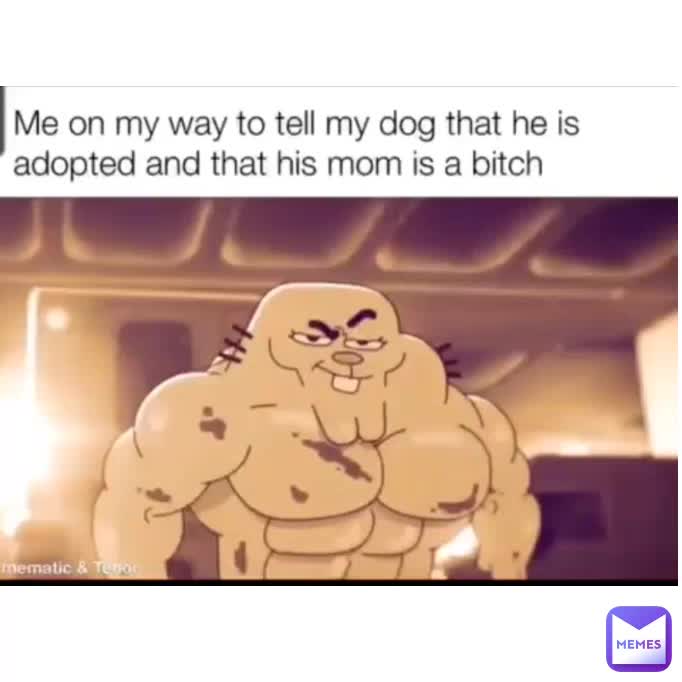 Meme shared by @Yoten