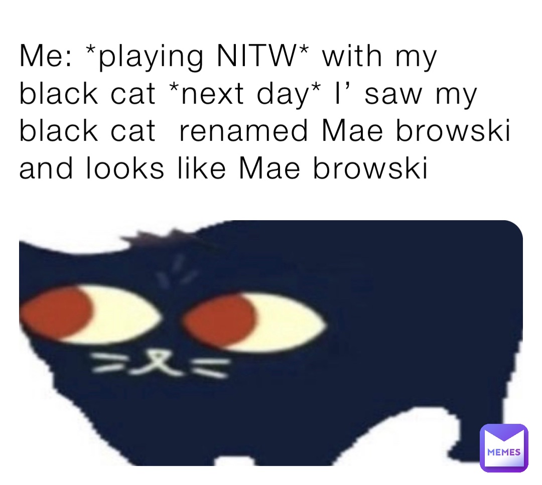 Me: *playing NITW* with my black cat *next day* I’ saw my black cat  renamed Mae browski and looks like Mae browski