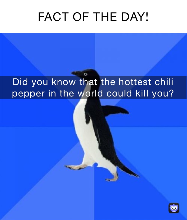 FACT OF THE DAY! Did you know that the hottest chili pepper in the