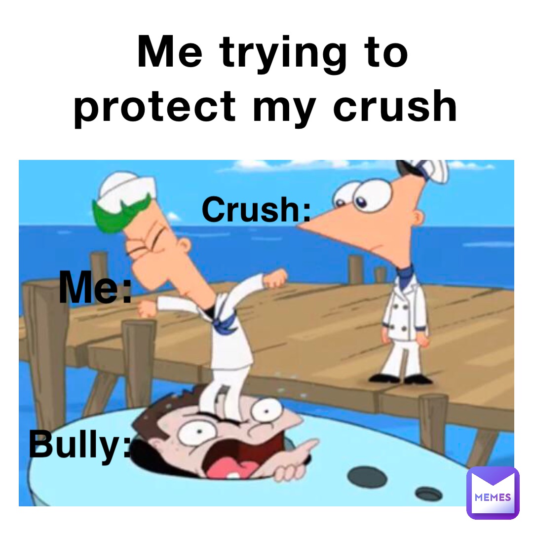 Me trying to protect my crush Bully: Me: Crush: