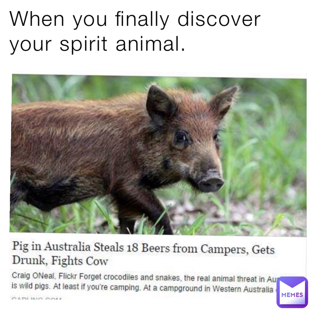 When you finally discover your spirit animal.