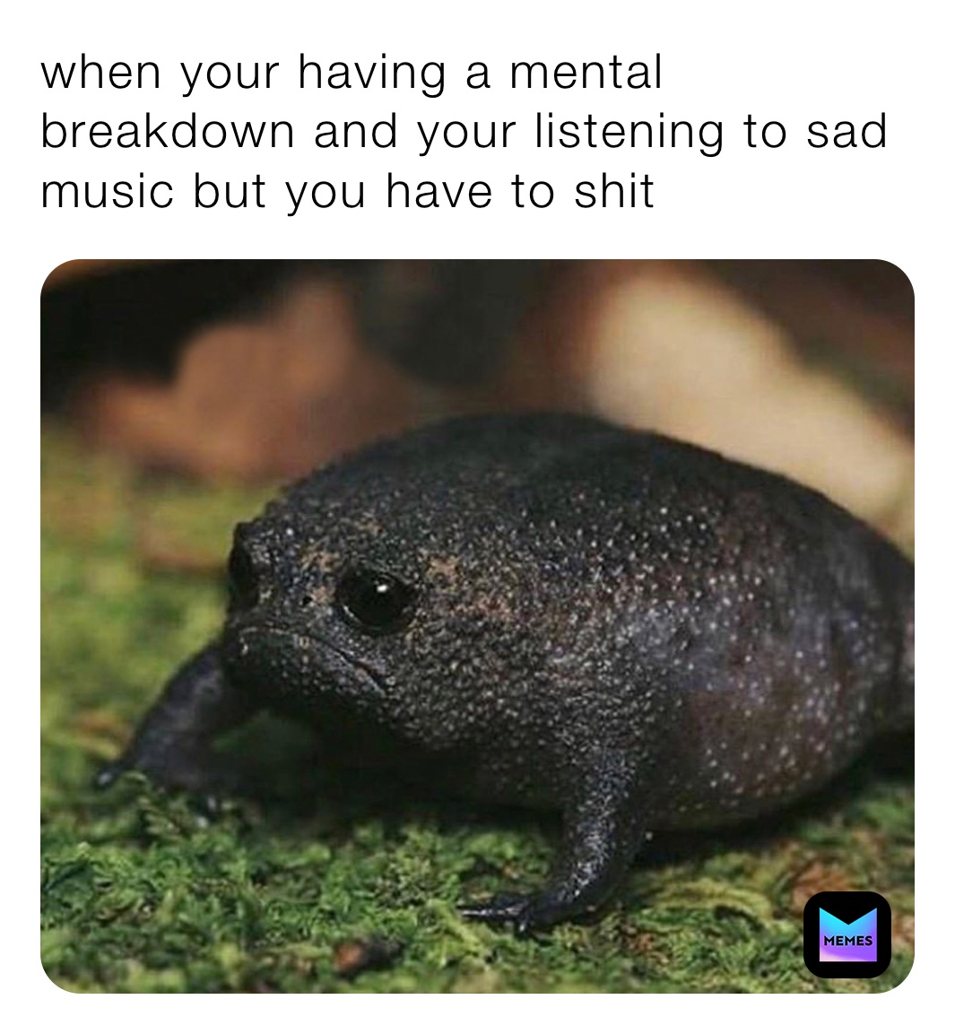 when your having a mental breakdown and your listening to sad music but you have to shit 