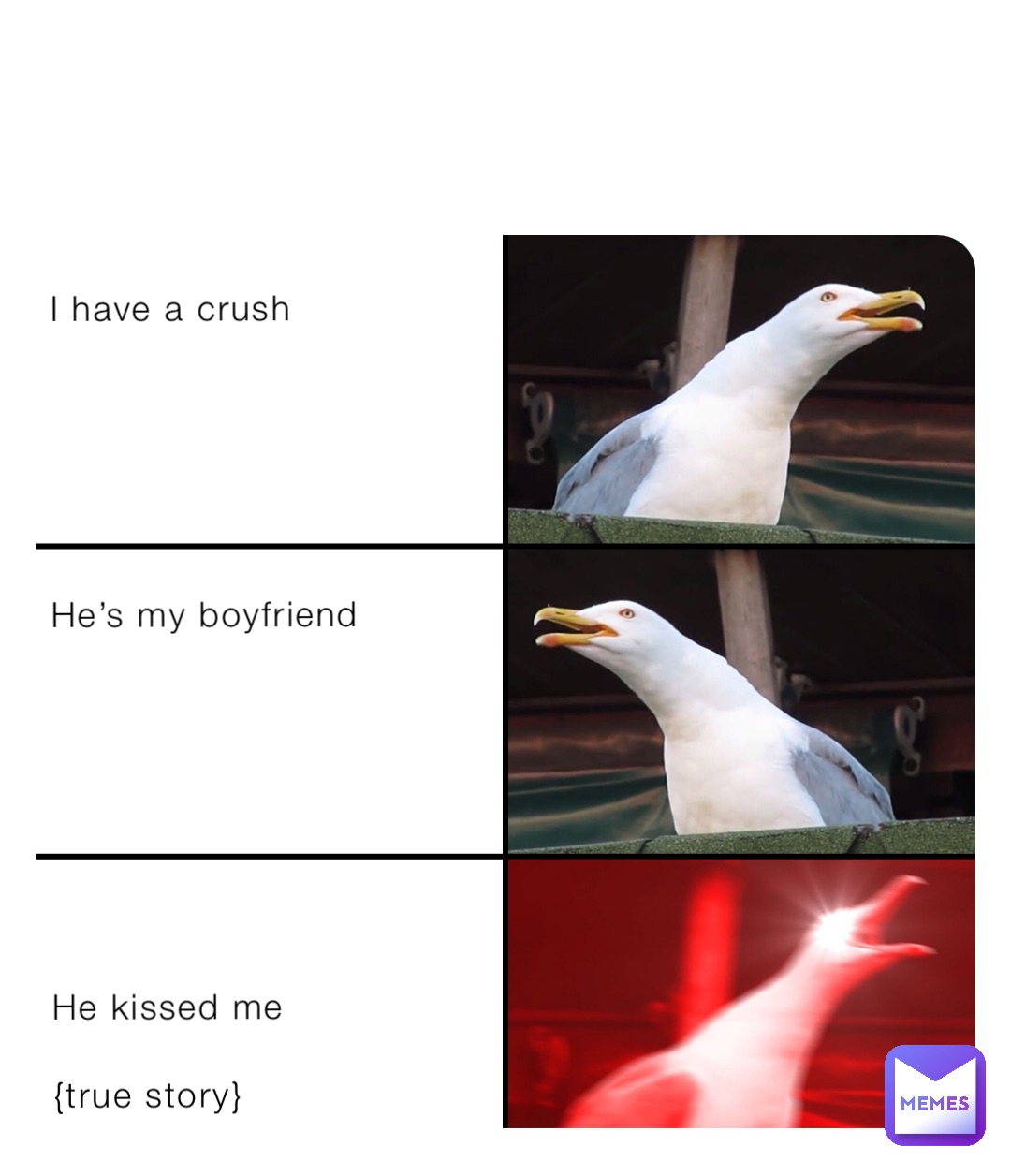 I have a crush






He’s my boyfriend








He kissed me

{true story}
