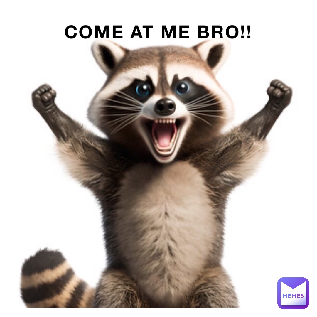 COME AT ME BRO!!