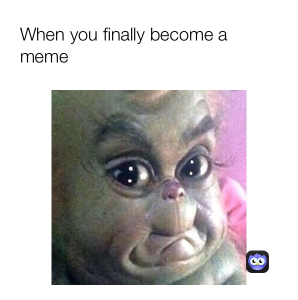 Meme by bradytraxler