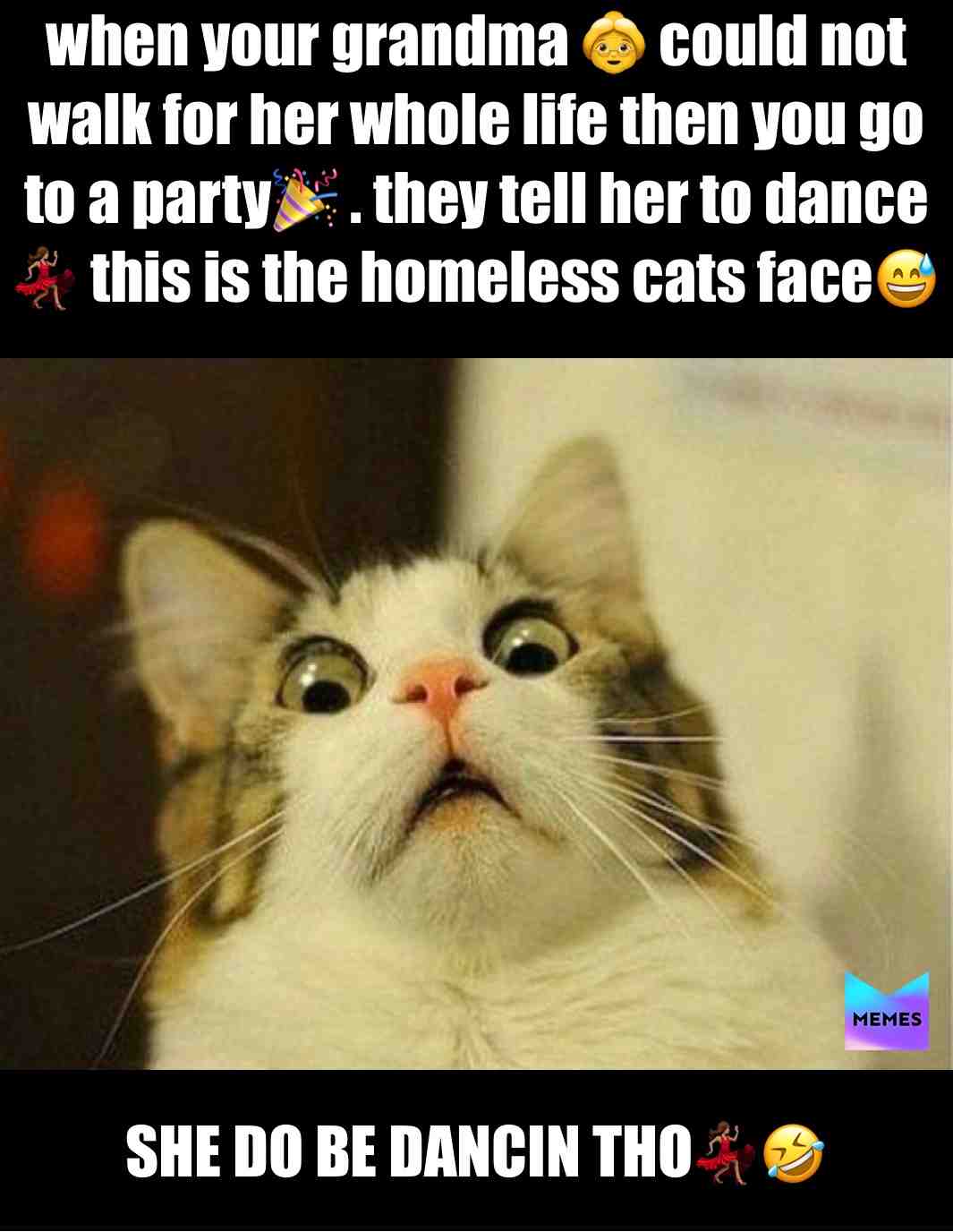 Just a story that I made up!😅