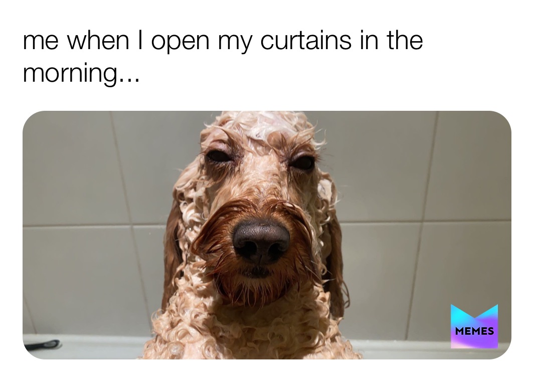 Meme by jessss_stevens