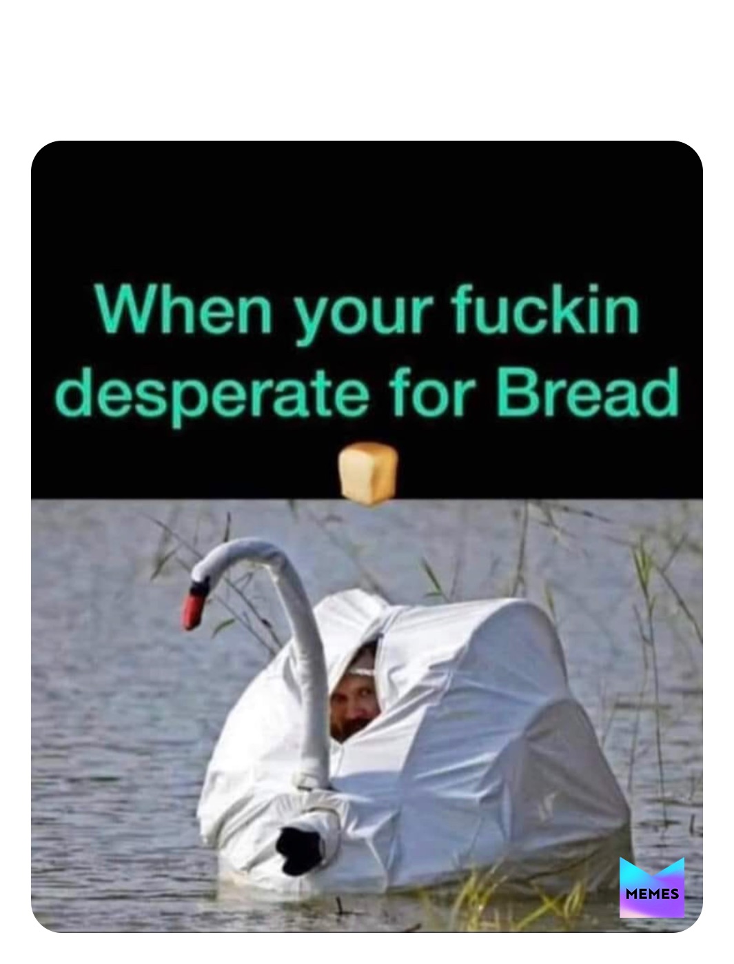 Meme by jessss_stevens