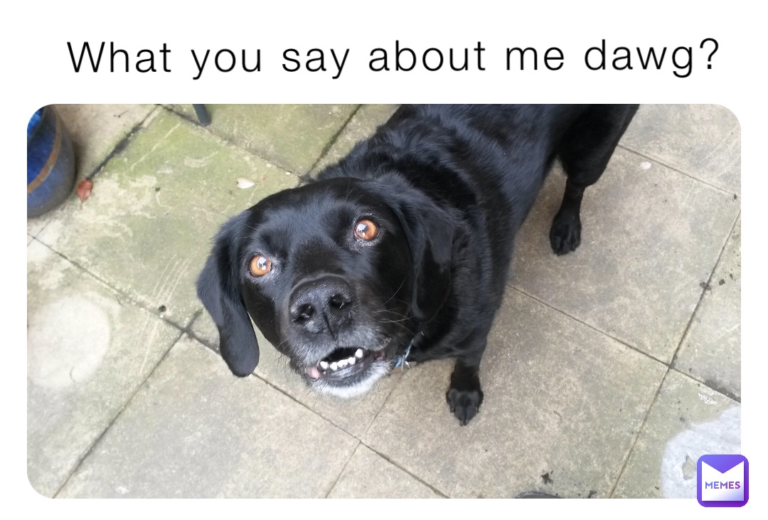What you say about me dawg?