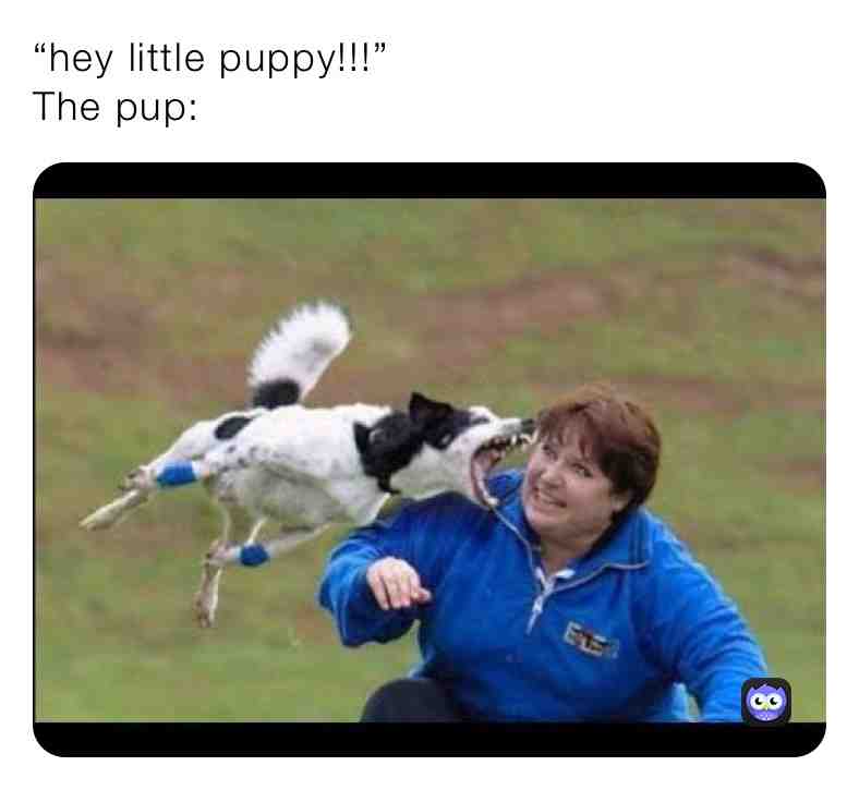 Meme shared by @MakinBacon6453