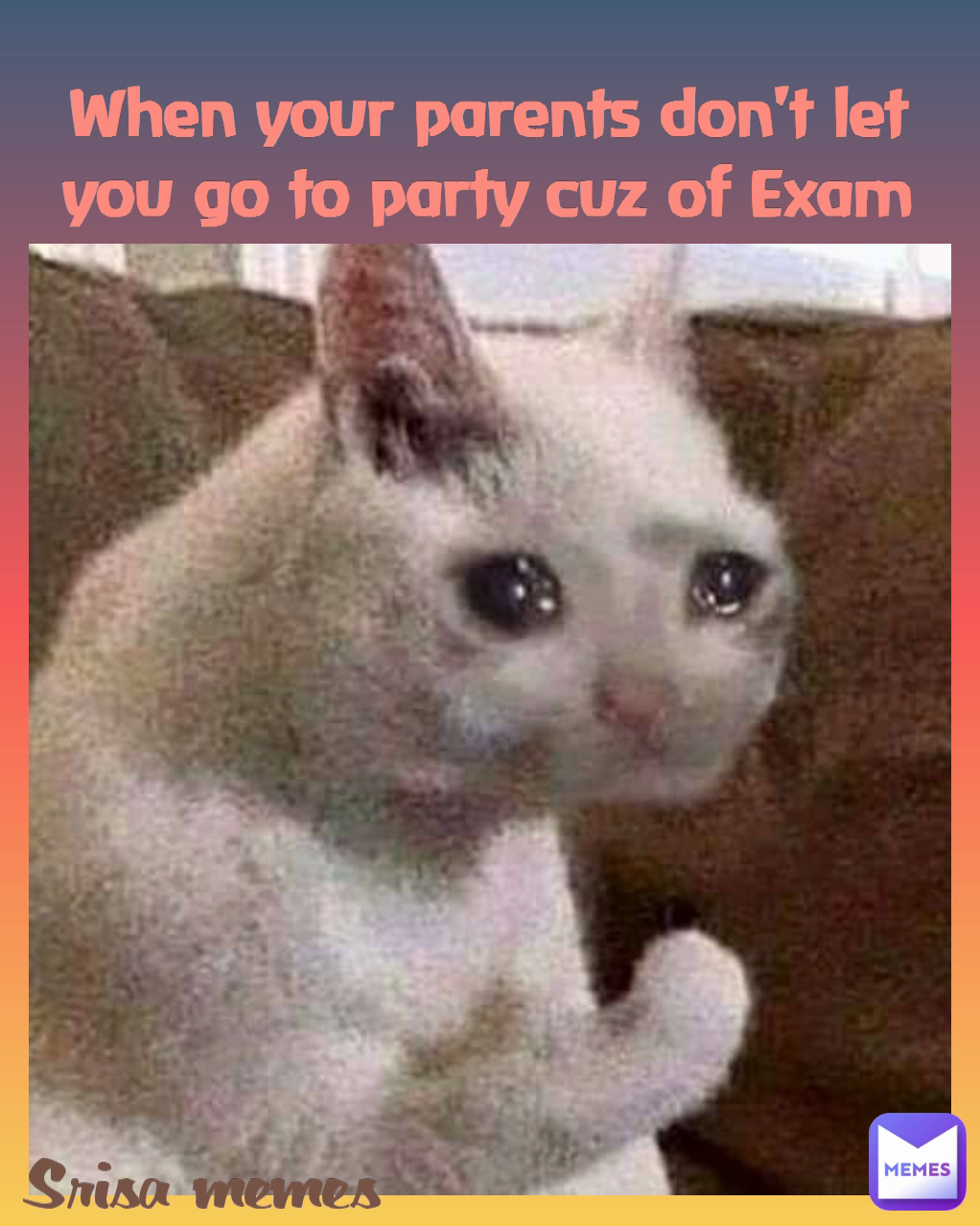 When your parents don't let you go to party cuz of Exam Srisa memes 