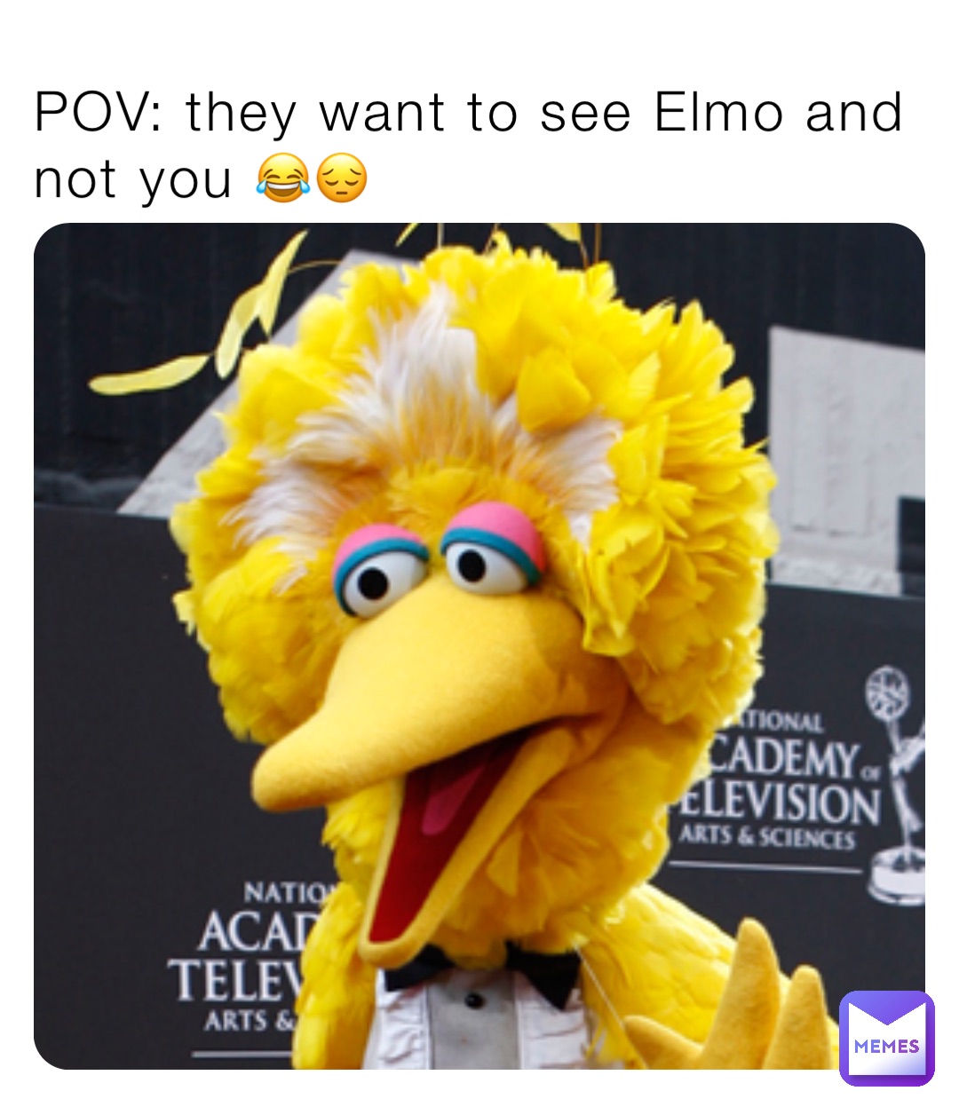 POV: they want to see Elmo and not you 😂😔