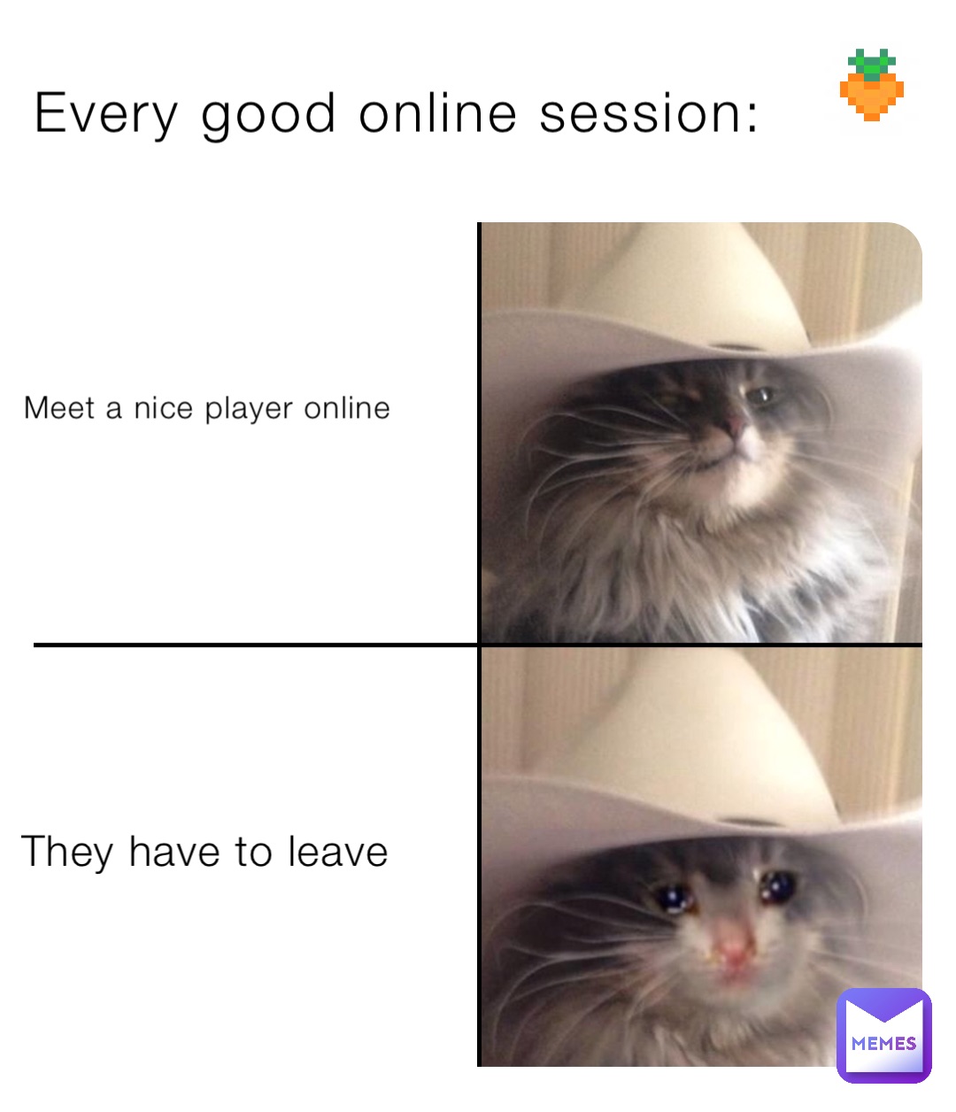 Every good online session: Meet a nice player online They have to leave