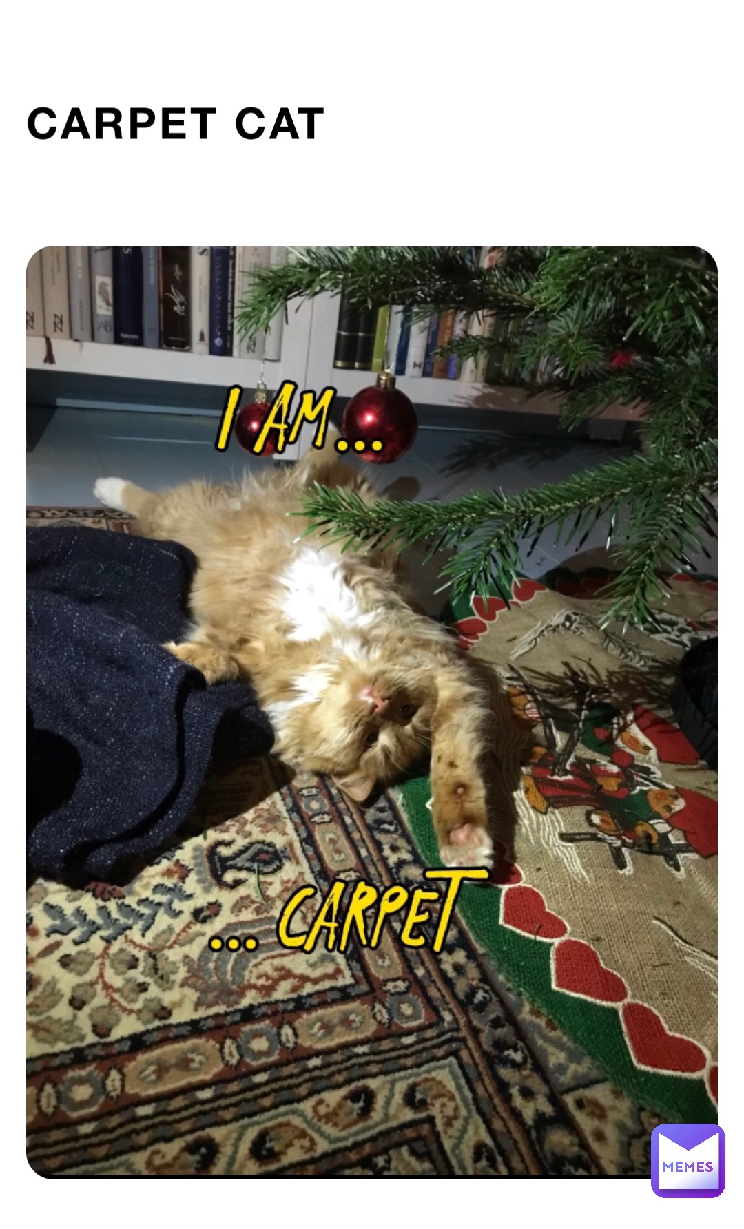 Carpet cat