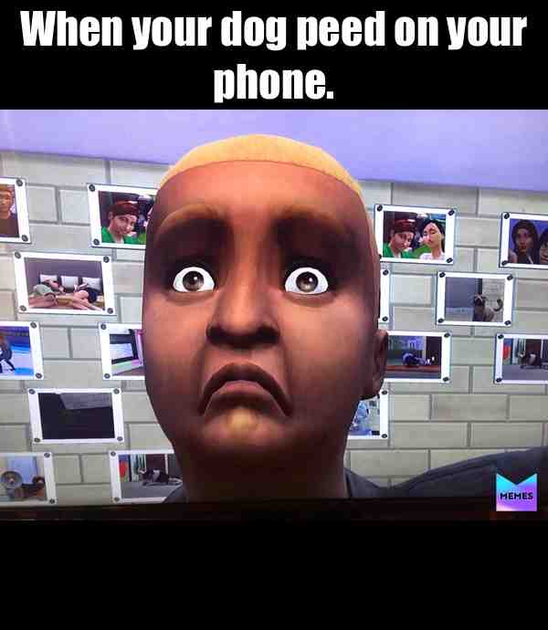 Funny glitch I found on the sims 4.