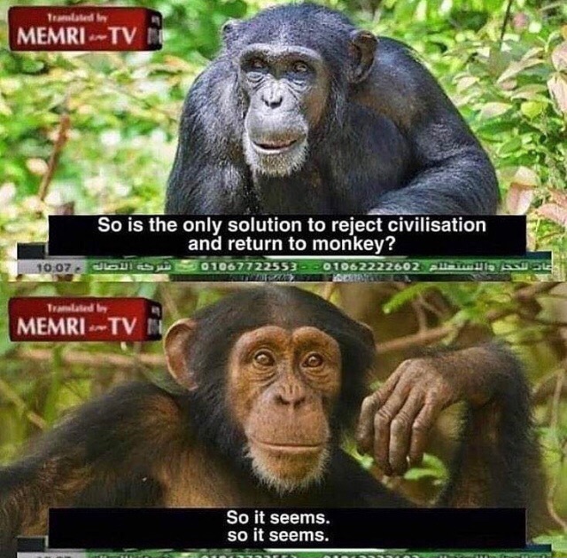 Meme by I_am_Florida_Man