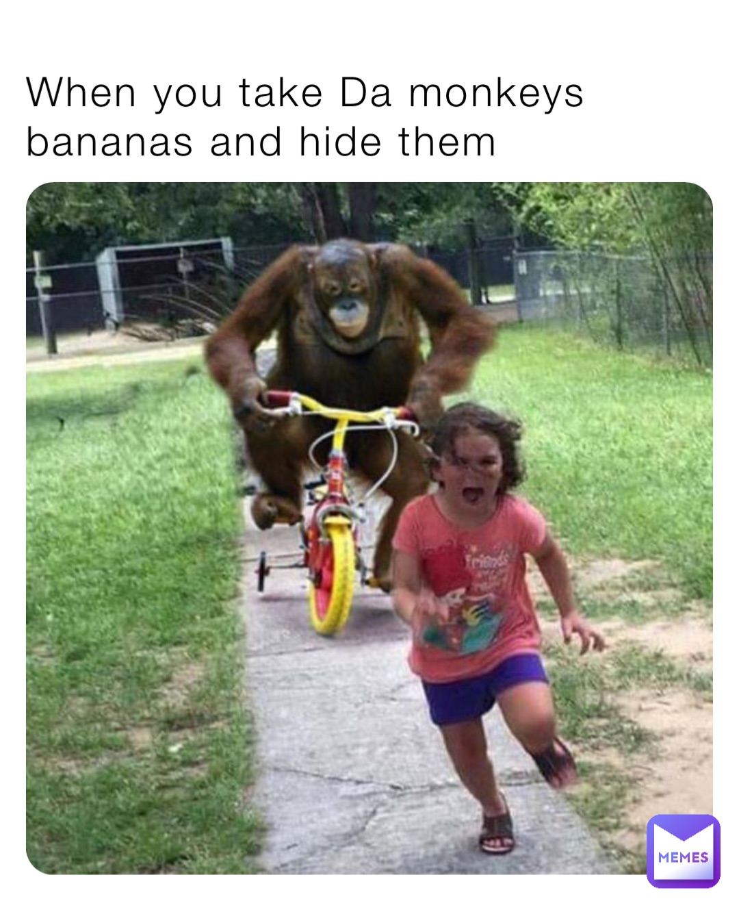 When you take Da monkeys bananas and hide them