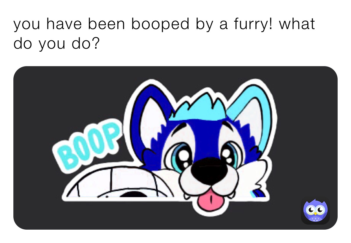 you have been booped by a furry! what do you do?