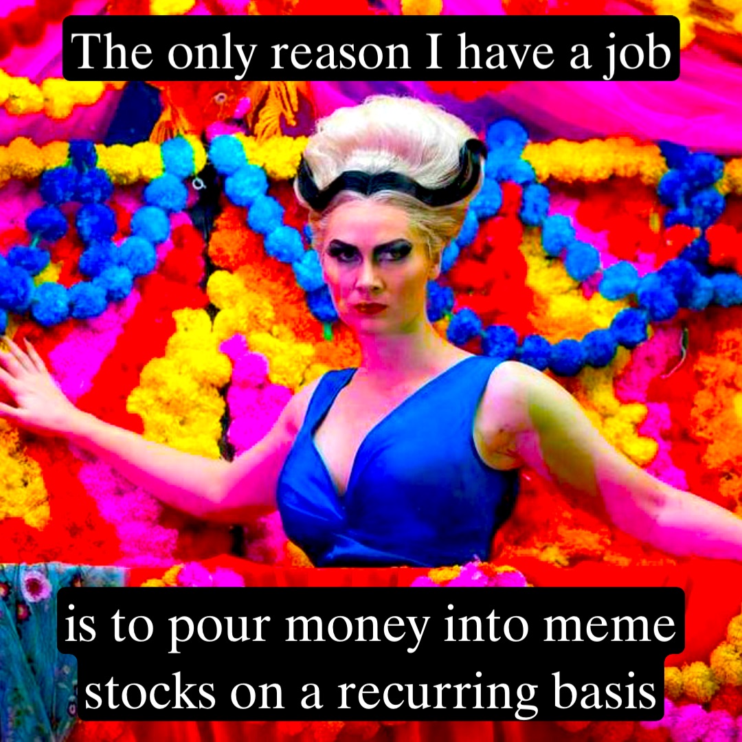The only reason I have a job is to pour money into meme stocks on a recurring basis