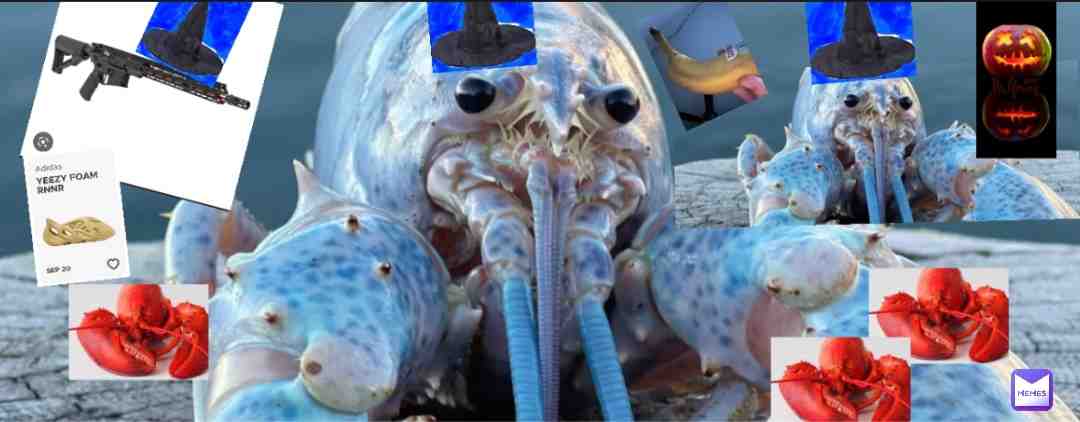 My complete love, and desire, Lobster. My new pfp and backround image, Blue Lobster is my new name, it used to be bonzie, then fag_exterminator, then AsianBarnacle, but now, BlueLobster