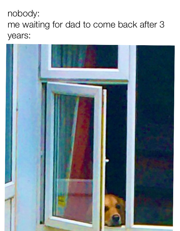 Meme by pet_the_elevator