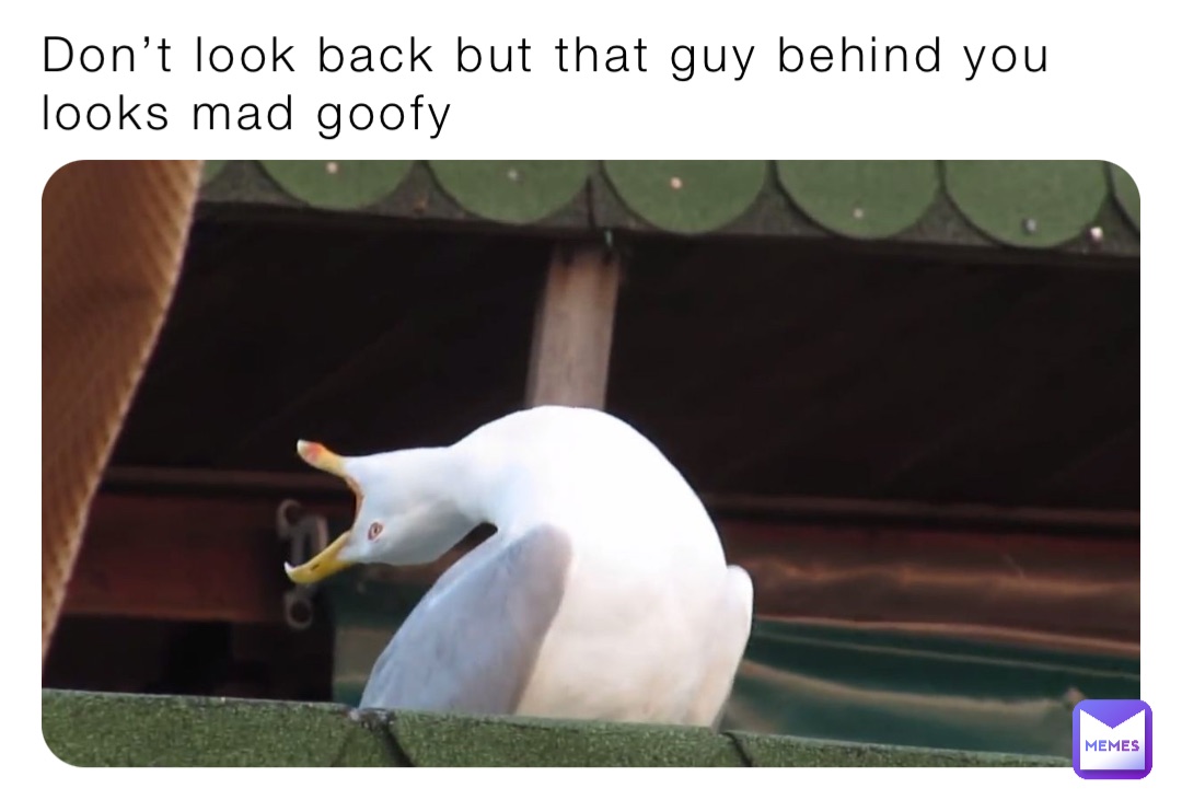 Don’t look back but that guy behind you looks mad goofy