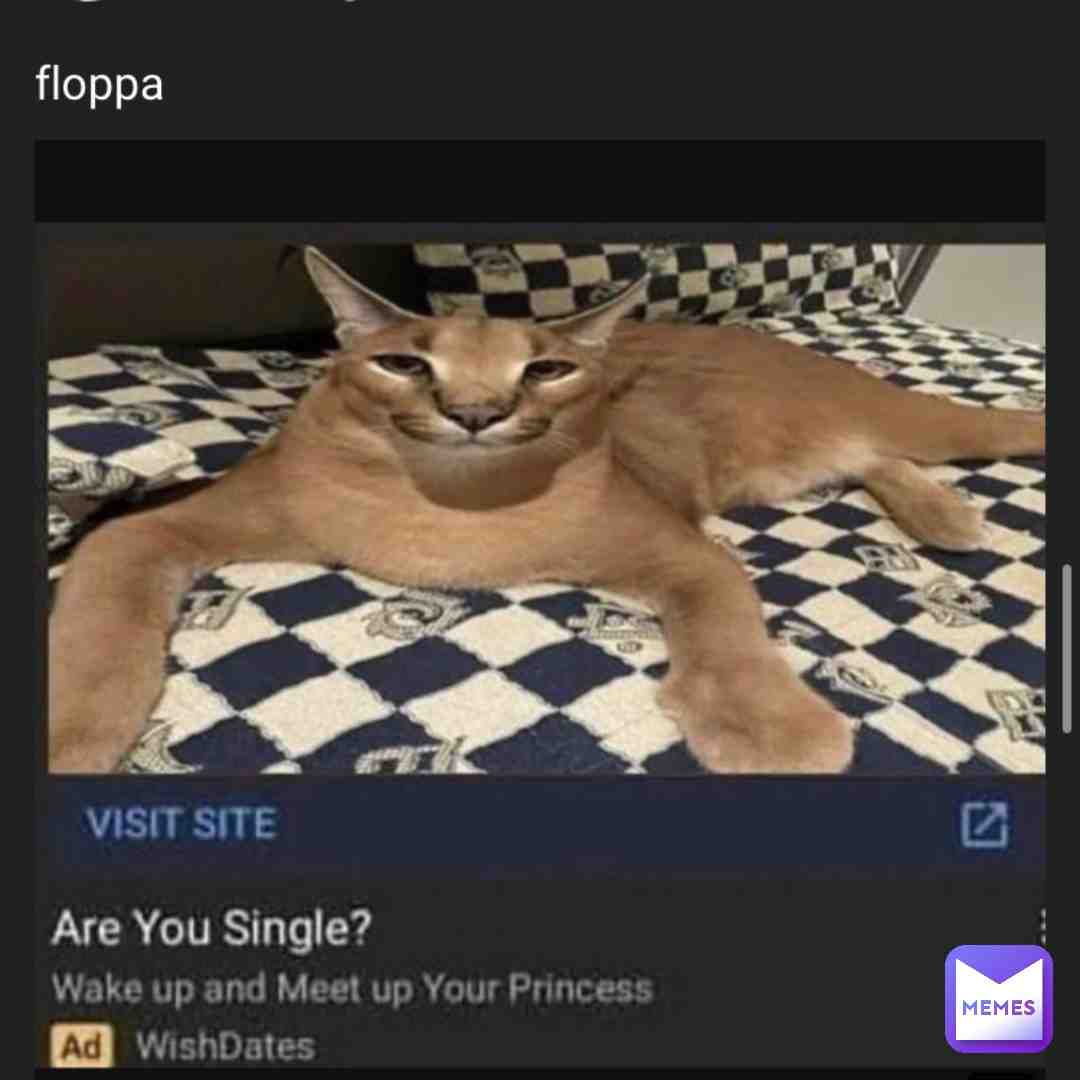 Floppa
